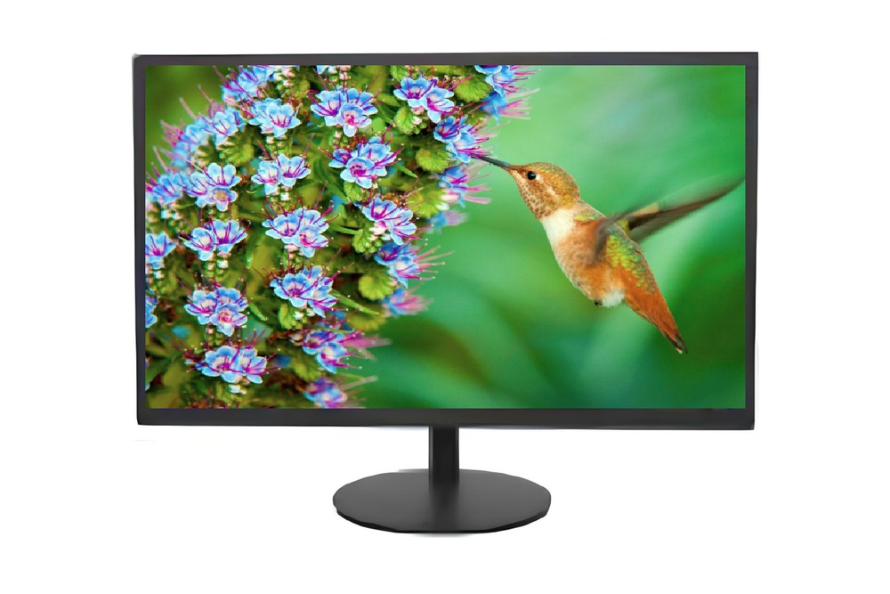 Изображения товара Монитор Hikvision DS-D5019S0-1P0 (18.5", 1366х768, IPS)